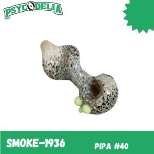 PIPA #40