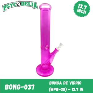 BONGA DE VIDRIO (WPB-38) - 13.7 IN