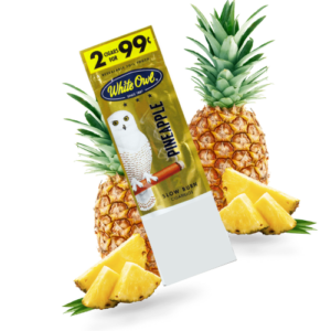 WHITE OWL BOX w/15 PINEAPPLE