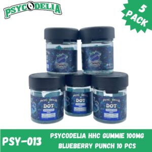 PSYCODELIA HHC GUMMIE 100MG BLUEBERRY PUNCH 10 PCS -5 PACK