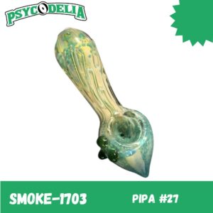 PIPA #27