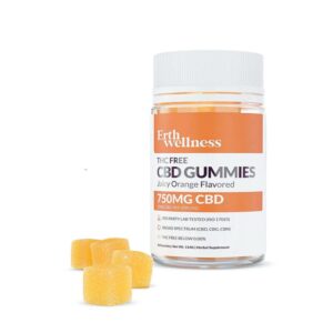 ERTH WELLNESS CBD VEGAN GUMMIES 750MG -30/GUMMIES - JUICY ORANGE