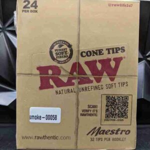 RAW TIPS MAESTRO CONE 24PACK